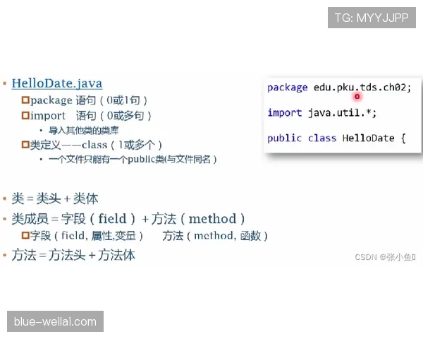 新西兰1分垫底仍未出局，G组末轮保留理论希望